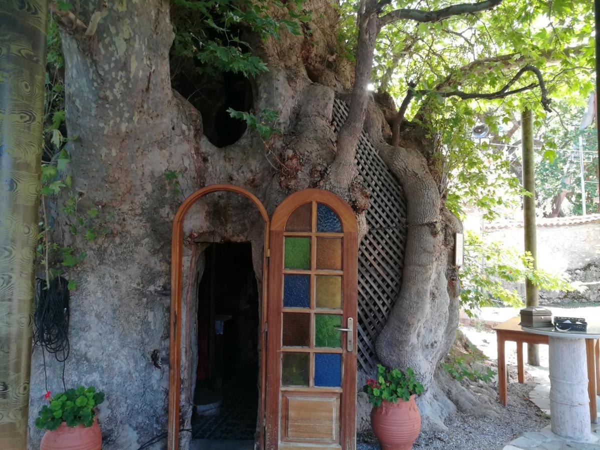 Plataniotissa Mansion Kalavryta Exterior foto